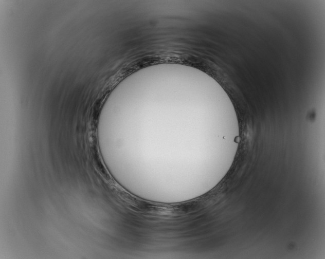 X0000116060663200911201202