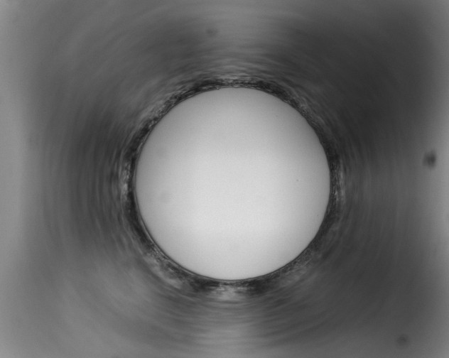 X0000116060664200911201202