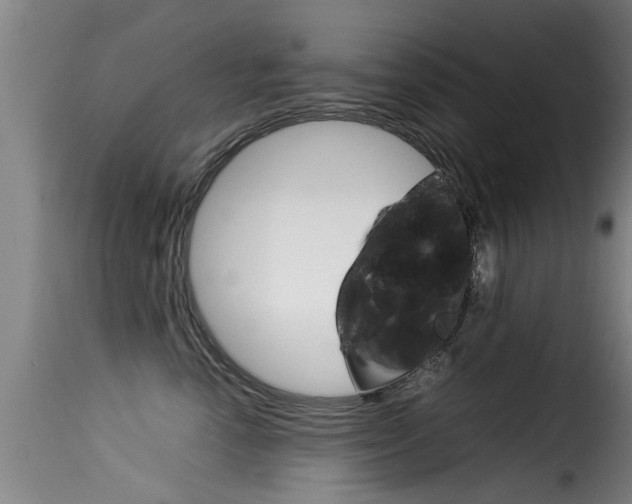 X0000116060666200911201202