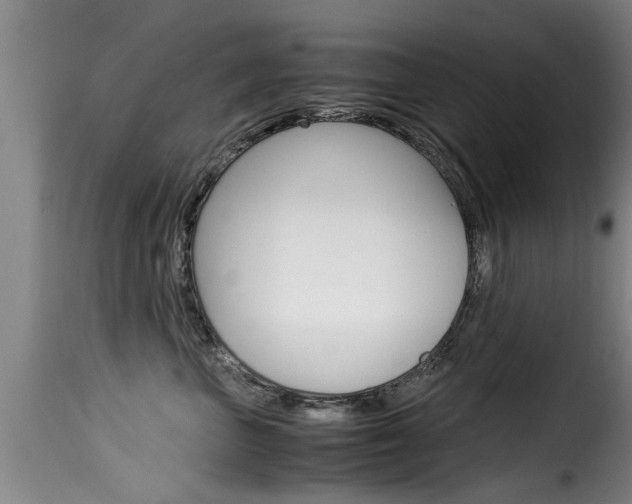 X0000116060667200911201202
