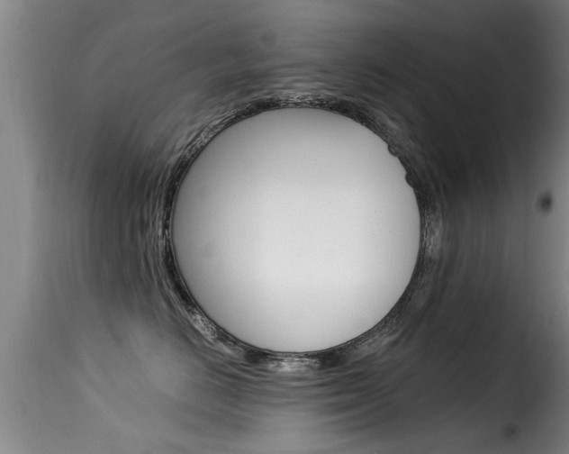 X0000116060670200911201202