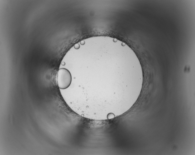 X0000116060672200911201202