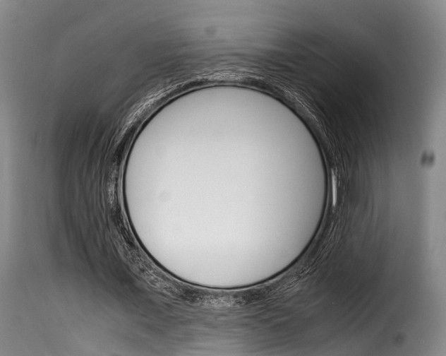 X0000116060675200911201201
