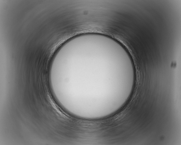 X0000116060677200911201201
