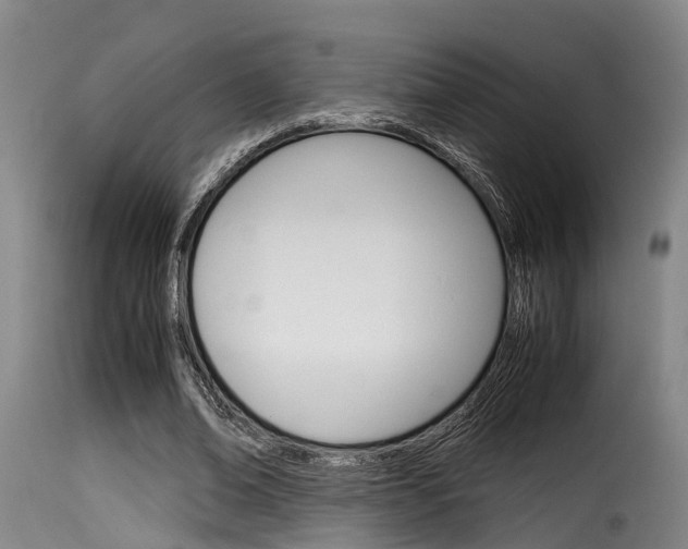 X0000116060678200911201201