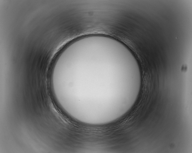 X0000116060680200911201201