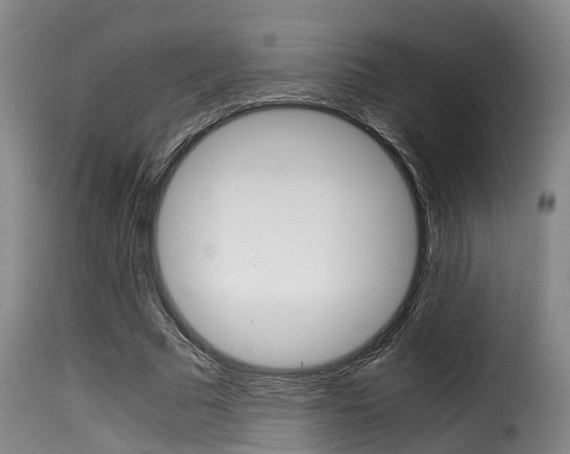 X0000116060681200911201201