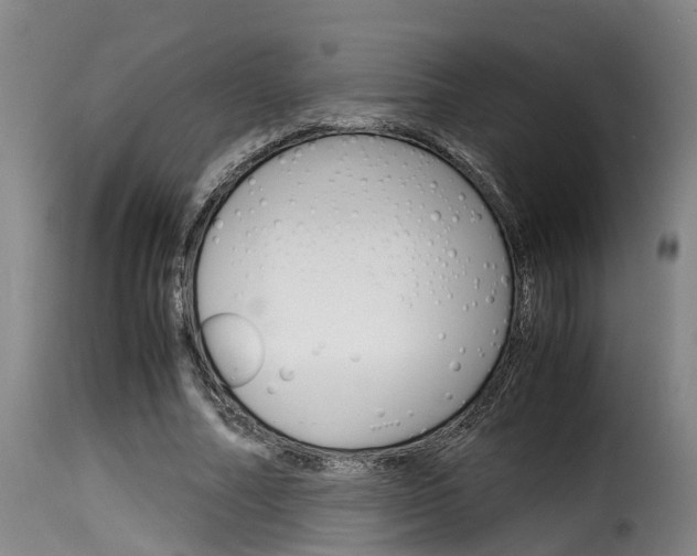 X0000116060682200911201201