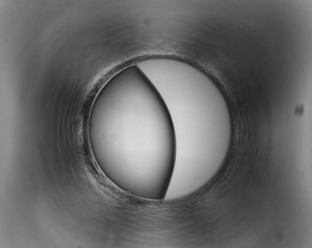 X0000116060684200911201201