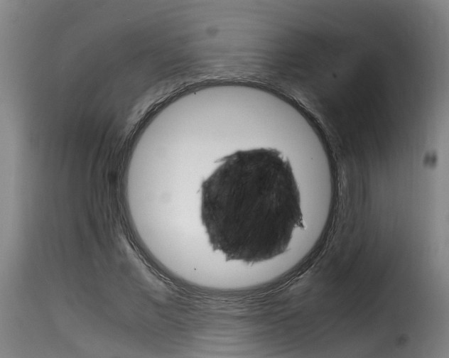 X0000116060685200911201201