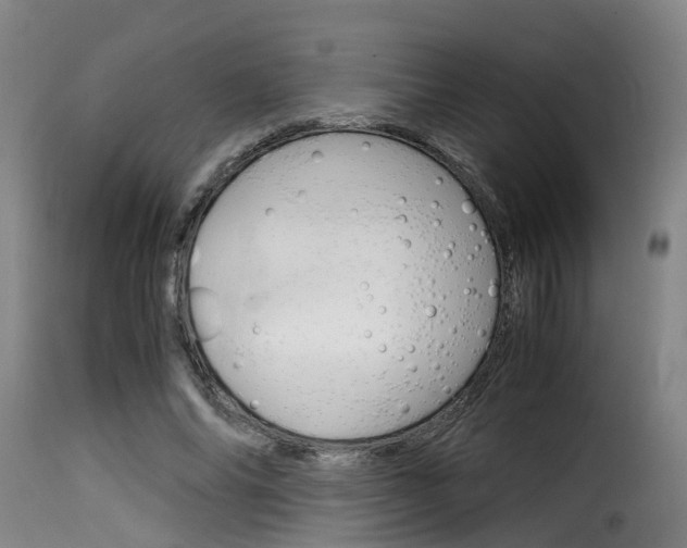 X0000116060686200911201201