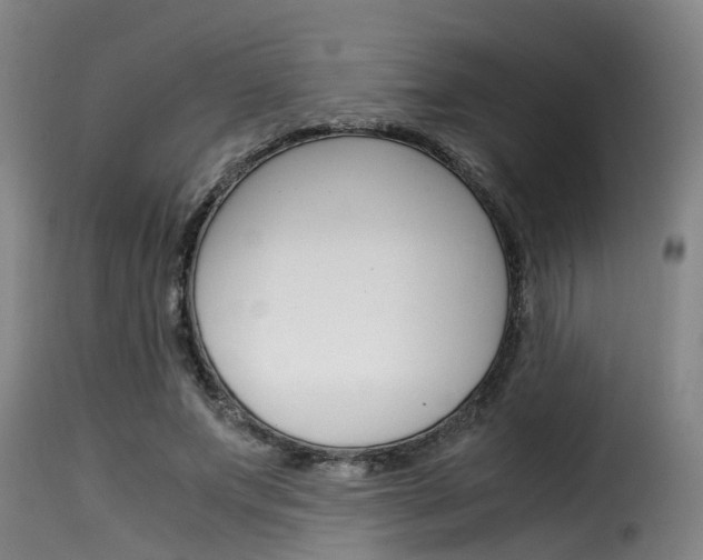 X0000116060687200911201201