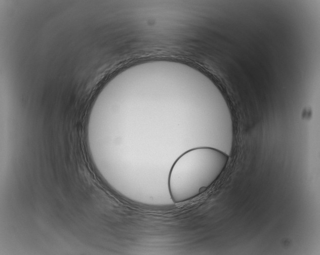 X0000116060689200911201201