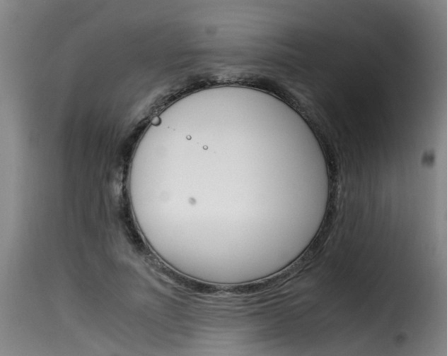 X0000116060691200911201201