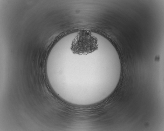 X0000116060693200911201201