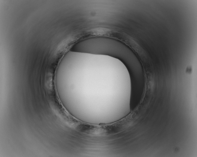 X0000116060696200911201201