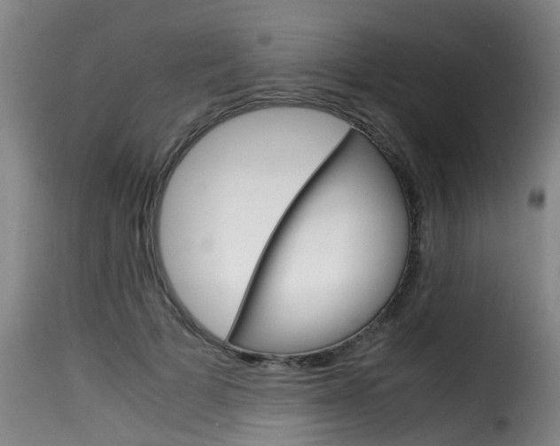 X0000116060697200911201201