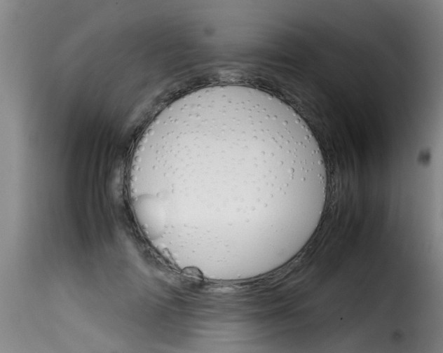 X0000116060698200911201201