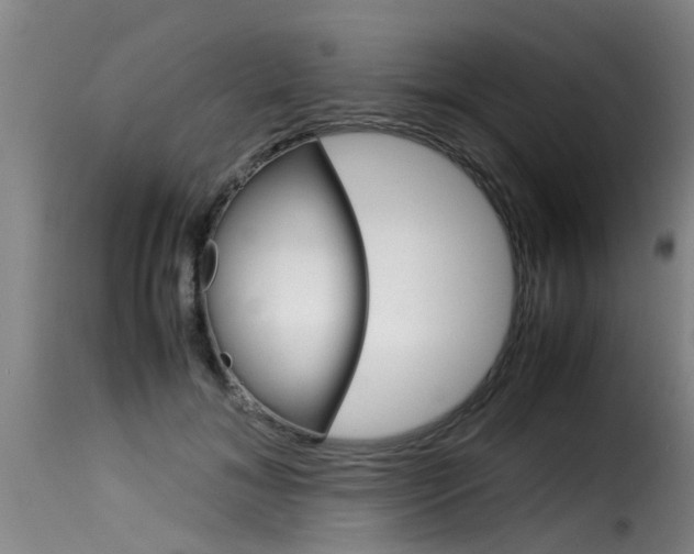 X0000116060700200911201201