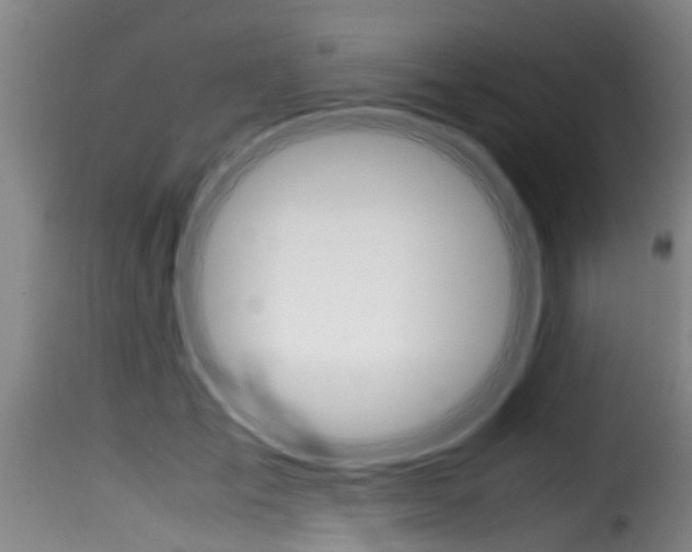 X0000116060701200911201201