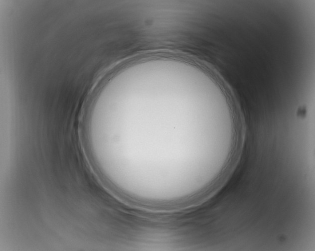 X0000116060705200911201201