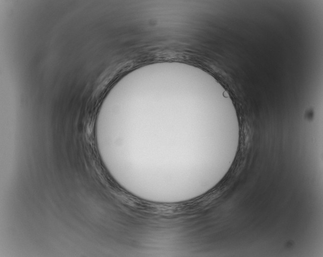 X0000116060709200911201201
