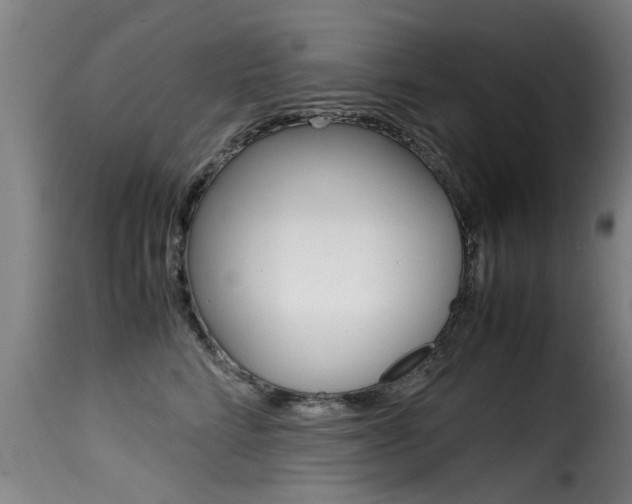 X0000116060712200911201201