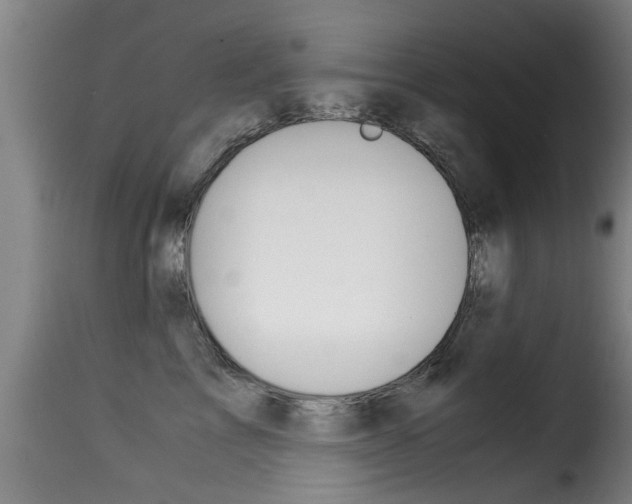 X0000116060713200911201201