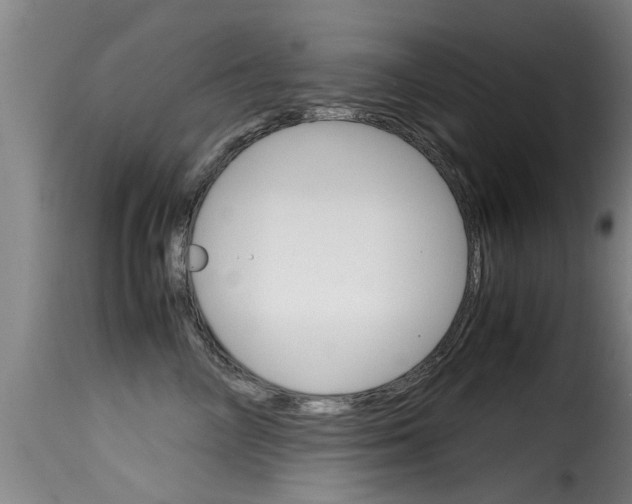 X0000116060714200911201200