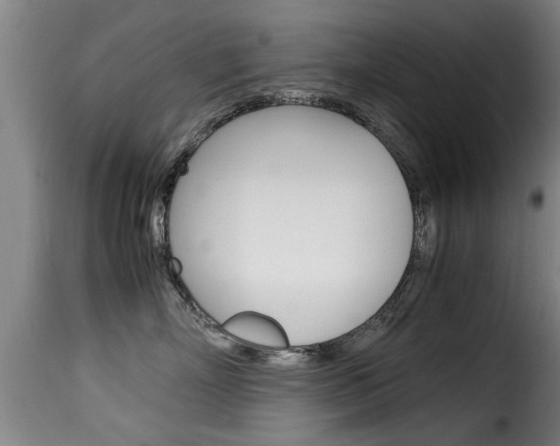 X0000116060718200911201200