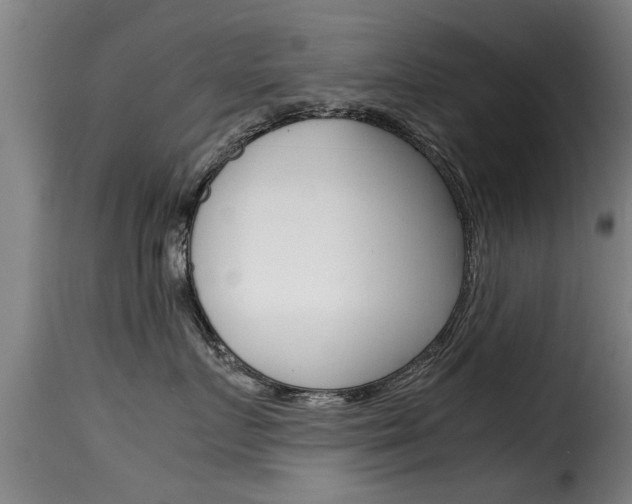 X0000116060719200911201200