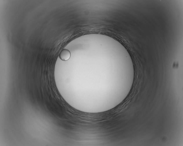 X0000116060720200911201200