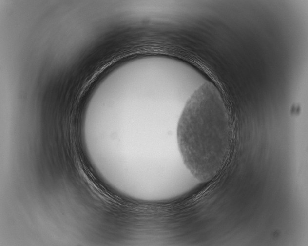 X0000116060722200911201200