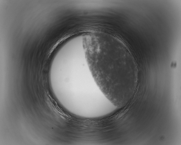 X0000116060723200911201200