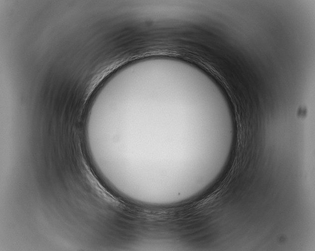 X0000116060725200911201200