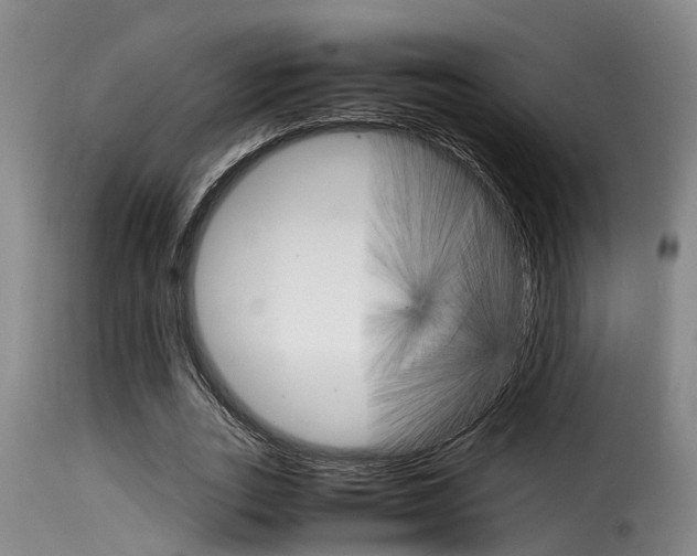 X0000116060727200911201200