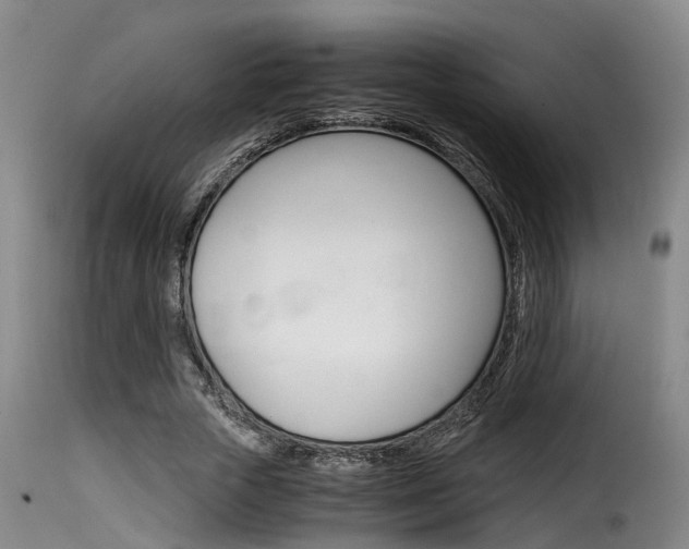 X0000116060729200911201200