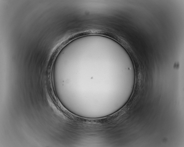 X0000116060730200911201200