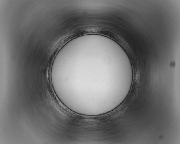 X0000116060733200911201200