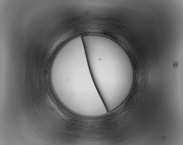 X0000116060735200911201200