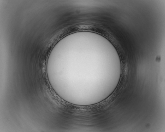 X0000116060737200911201200