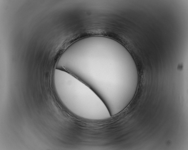 X0000116060739200911201200