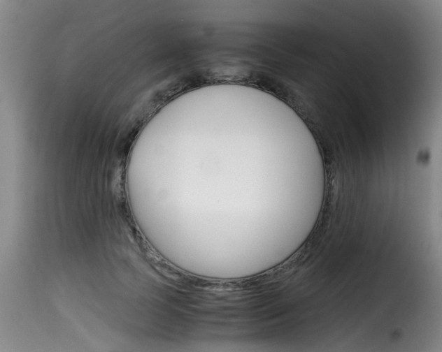 X0000116060745200911201200