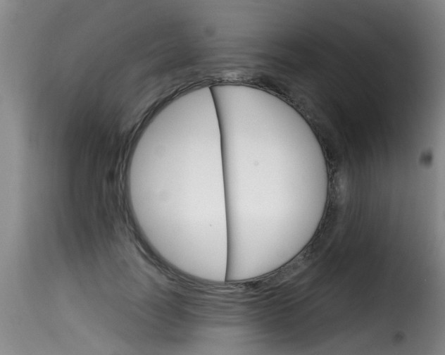 X0000116060746200911201200