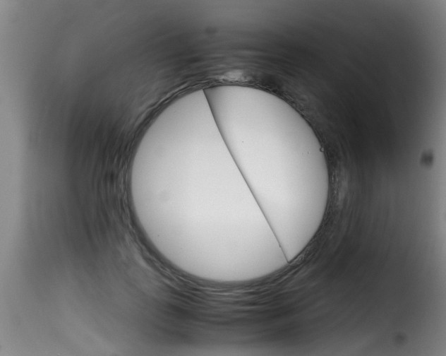 X0000116060747200911201200