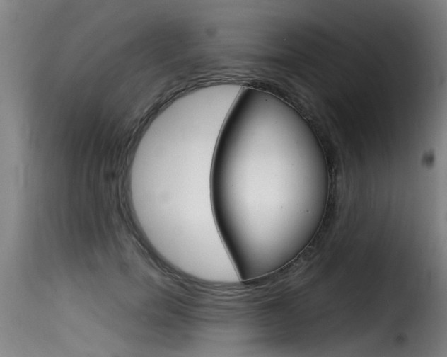 X0000116060750200911201200