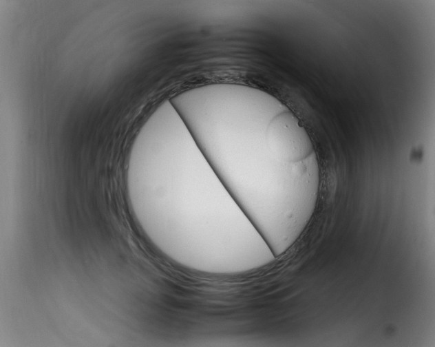X0000116060751200911201200