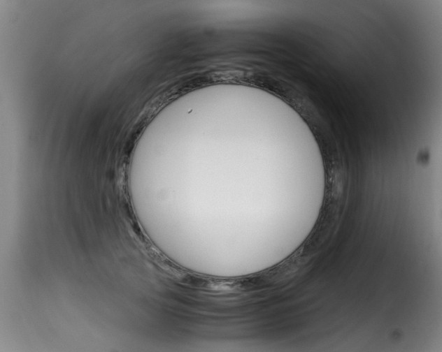 X0000116060753200911201200