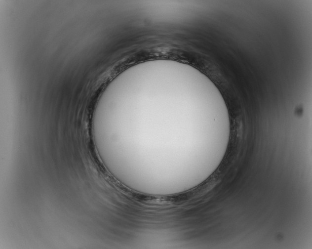 X0000116060754200911201200
