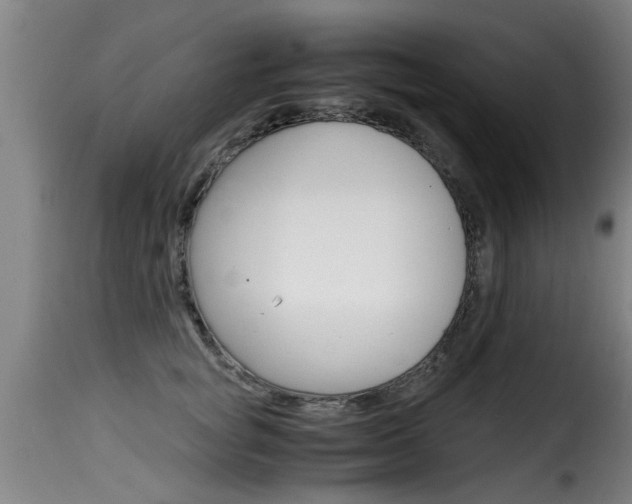 X0000116060757200911201200